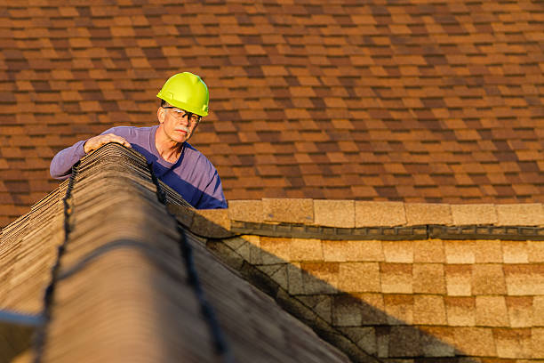 Best Roof Gutter Cleaning  in Rossville, TN