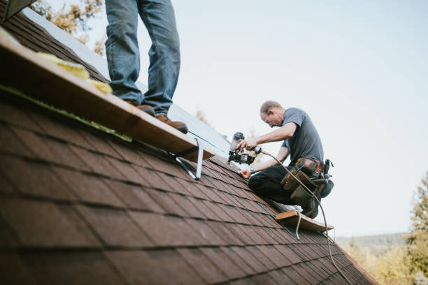 Professional Roofing Contractor in Rossville, TN