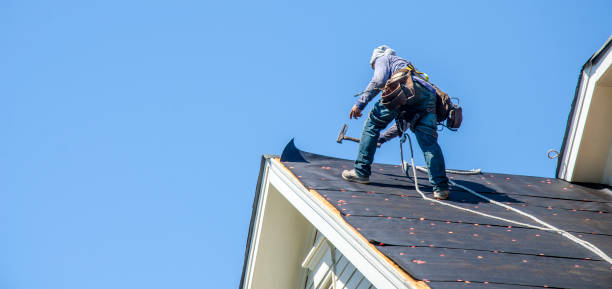 Best Roof Repair Services  in Rossville, TN